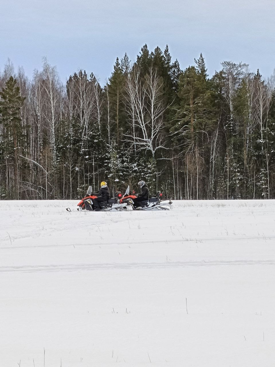 Тур на снегоходах "Драйв"